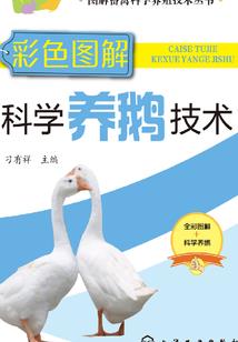 亲爱的请相信爱