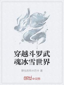 夙三小姐