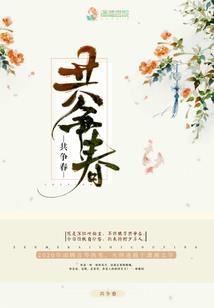 红楼之二房嫡子