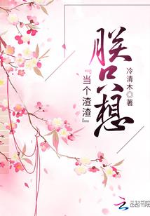 星光之名城