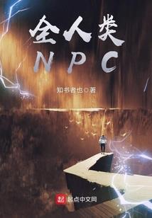 代码V
