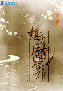 神奇宝贝之重生小智传奇
