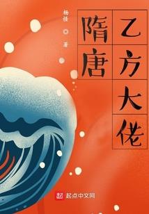 海贼之重装刺客