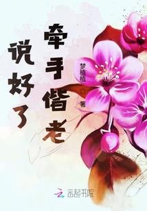 攻略系游戏