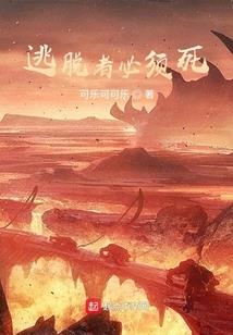 雷衍万道