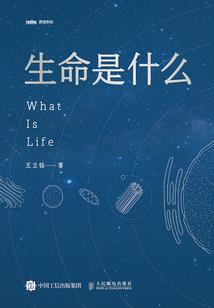 酒与火