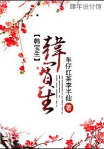 新朝遗梦