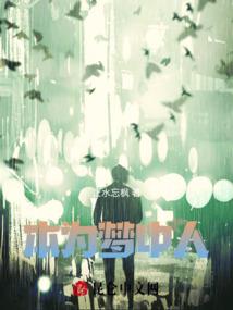 沈枫是大佬