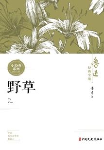 我咋就文娱全能了呢