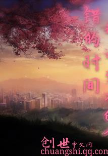 末世之半机械女主