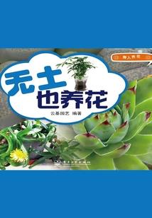 鱼亦有歌