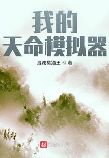 穿越之新手求攻略