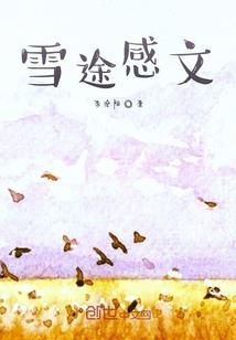 龙珠：开局签到自在极意功！