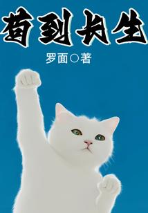 丐世侠医