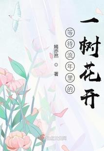 轮回征灵纪