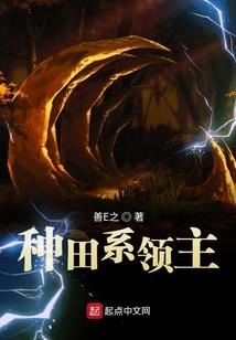 迷失的真相
