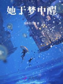 系统：你有一个愿望