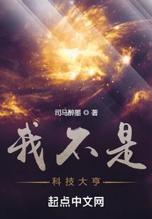 灵魂风水师