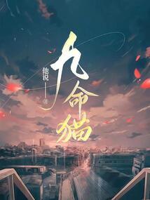 夏桀事务所
