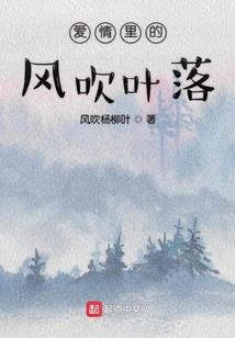 逆天燃魂