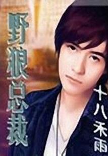 羽天世界