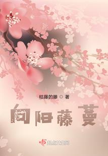 心道之道