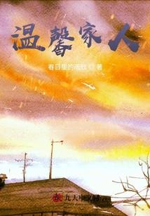 变身机甲骑士