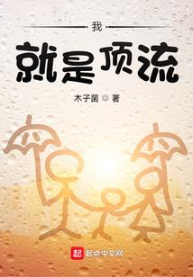 网游之偷星传说