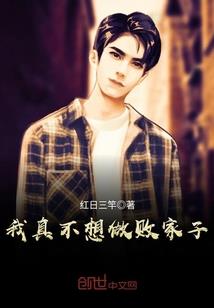 网球王子之奇迹系统