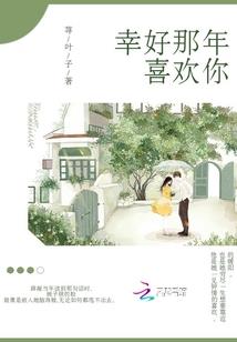 轨心盲途