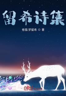 圣夜的童话