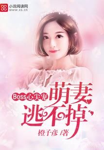 美型妖精大混战之风仙之绊