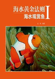 便装千金假面下的深恋