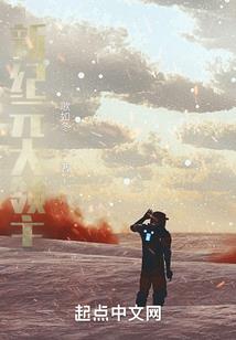异世之毁灭骑士