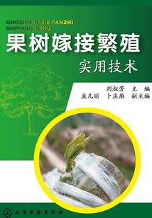 无责任青春