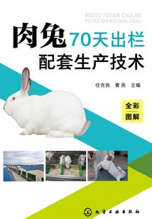 崩坏进化
