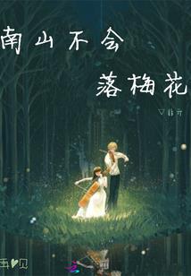 我的老婆是二婚