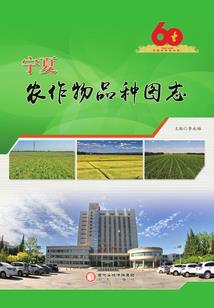 星尘剑帝
