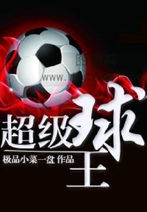 东荒奇遇手札