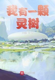 九域凤华