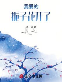他的命运三重梦