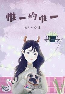 飞仙传奇录