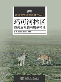 追梦一加油