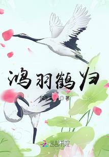 等风说爱你