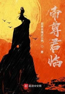 黄皮笔录