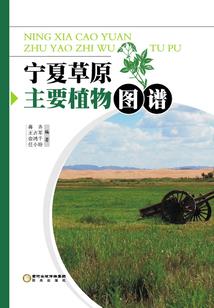 异能战者