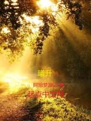 曙夜(合作)