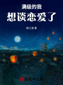 宠物小精灵之大时代