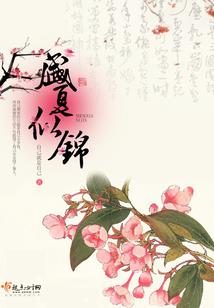 我心向游侠