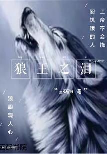 铁甲威虫之青春史诗